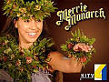 KITV Merrie Monarch Hula Festival Section