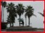 017_santabarbaradolphins.jpg
